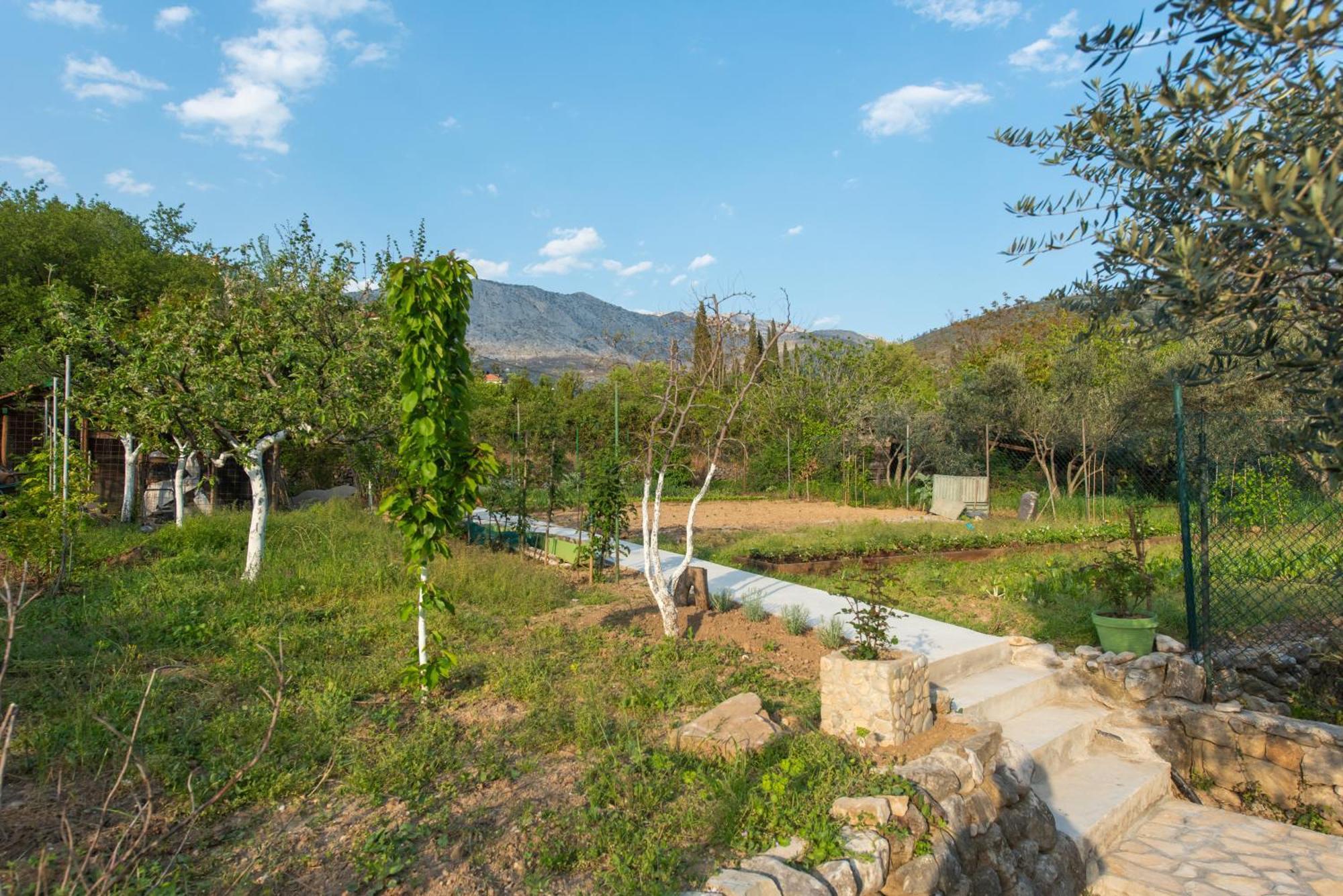 הוילה Žrnovnica Peace Point מראה חיצוני תמונה